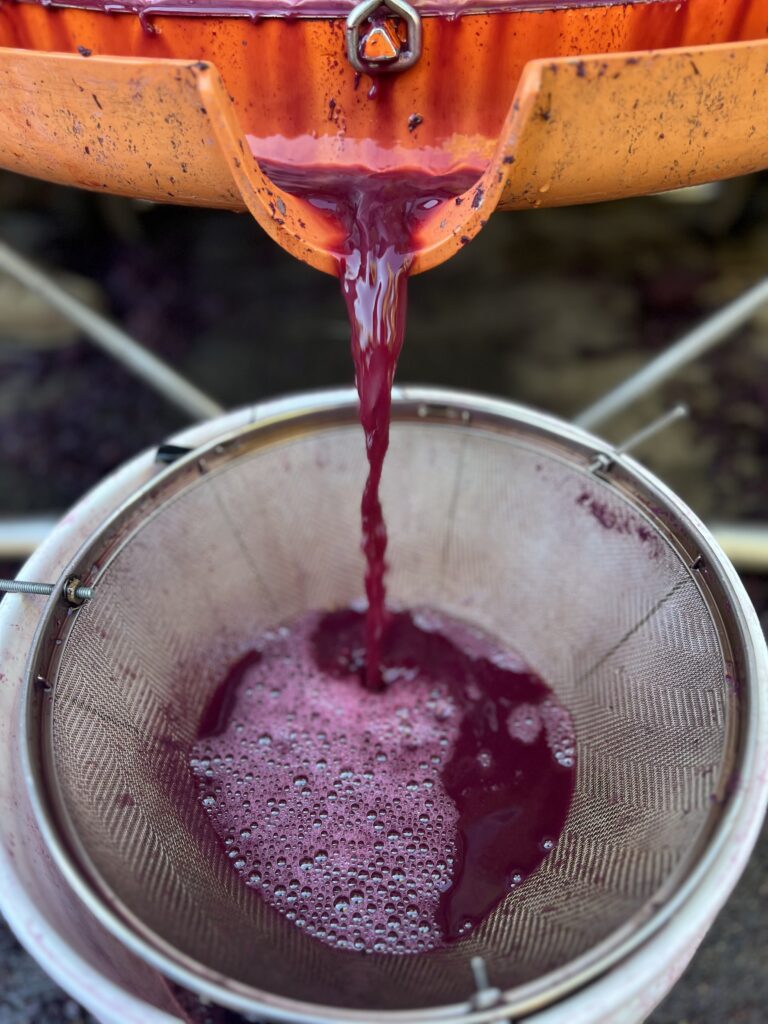 Red wine being strained at the Wine Club's workshop