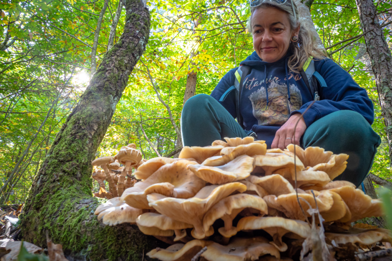 Mendocino Mushroom Foraging Experiences in Fall/Winter 202324 Edible