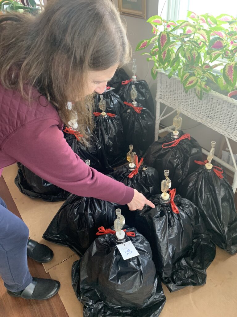 Velasquez ages her red wines in plastic
covered carboys for approximately four
months.