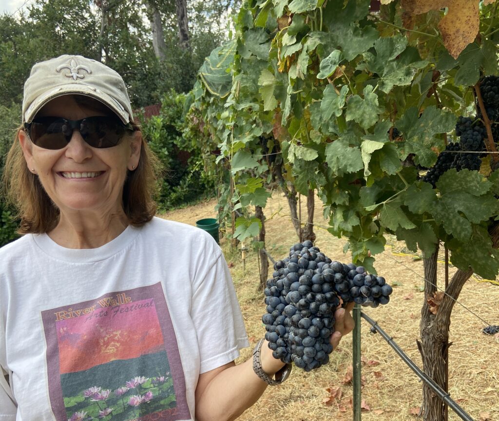 Merry Jo Velasquez Picking Grapes